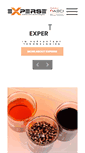 Mobile Screenshot of experse.com