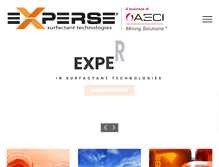 Tablet Screenshot of experse.com